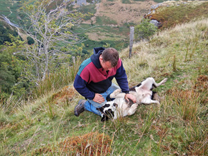 Reunited with his owner (Pic: Kelvin Lake)