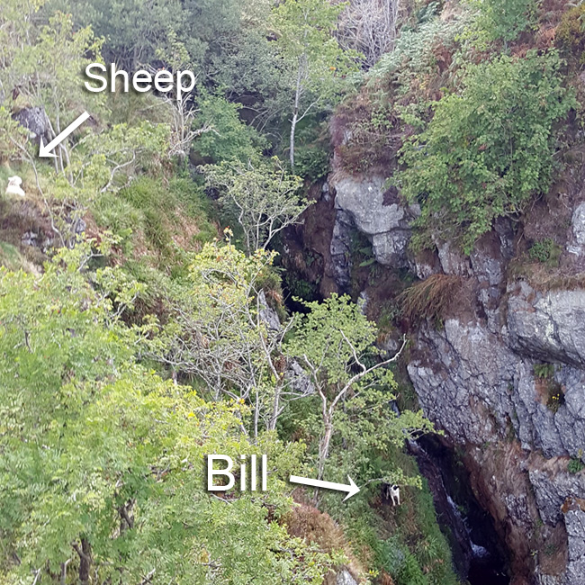 Bill's location near the head of the waterfall (Pic: Gary Mitchell)