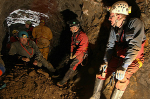 an underground team waiting to 'spring' into action