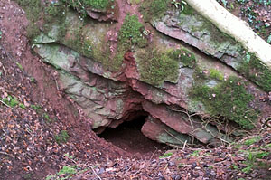 One of the many cave and mine entrances recorded during the exercise