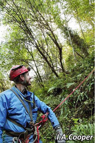 First Aider Alan Braybrooke descending into the 'sinkhole' to check on casualties stuck in a car.