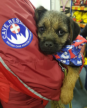 Our latest supporter - too young to join the team yet.